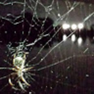 Meet your Posher, Jaime